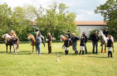 Foto des Albums: Hausturnier Ponyfarm 2012 (02.06.2012)