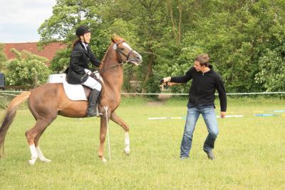 Foto des Albums: Hausturnier Ponyfarm 2012 (02.06.2012)