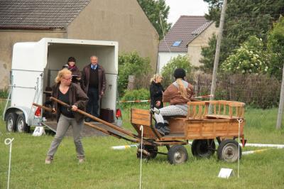 Foto des Albums: Hausturnier Ponyfarm 2012 (02.06.2012)