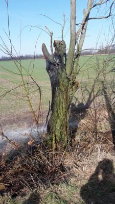 Foto des Albums: Kleinbrand 2018-03-18-Einsatz_1