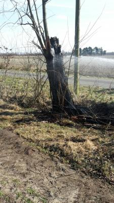 Foto des Albums: Kleinbrand 2018-03-18-Einsatz_1