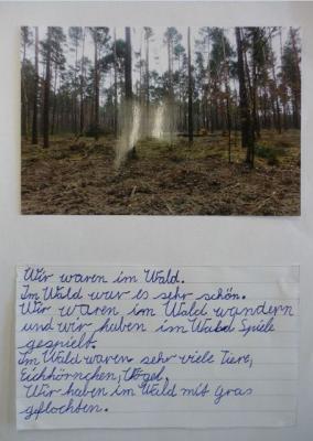 Spiele und Entdeckungen im Wald ... 