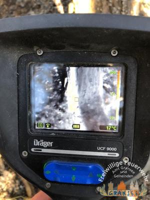 Foto des Albums: Einsatz 529-B-Fläche-Gransee Am Stadtwald
