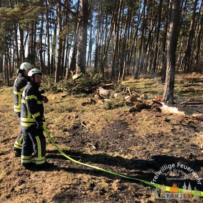 Foto des Albums: Einsatz 529-B-Fläche-Gransee Am Stadtwald