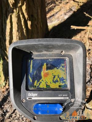 Foto des Albums: Einsatz 529-B-Fläche-Gransee Am Stadtwald