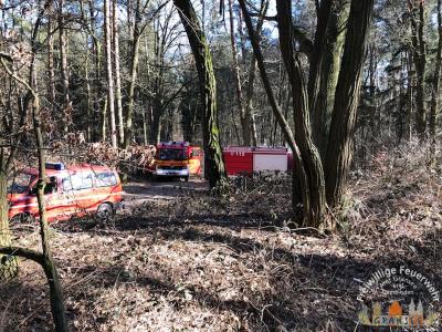 Foto des Albums: Einsatz 529-B-Fläche-Gransee Am Stadtwald