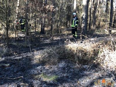 Foto des Albums: Einsatz 529-B-Fläche-Gransee Am Stadtwald