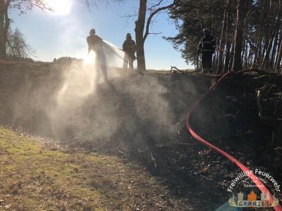 Foto des Albums: Einsatz 529-B-Fläche-Gransee Am Stadtwald