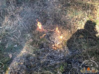 Foto des Albums: Einsatz 529-B-Fläche-Gransee Am Stadtwald