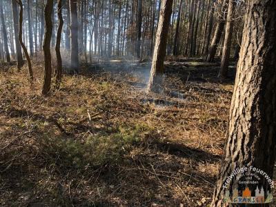 Foto des Albums: Einsatz 529-B-Fläche-Gransee Am Stadtwald