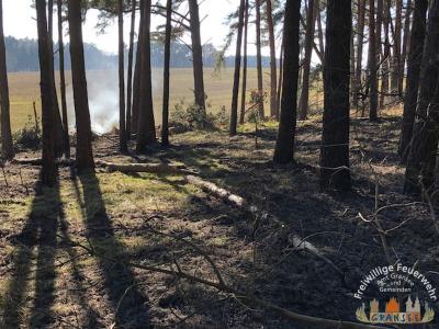Foto des Albums: Einsatz 529-B-Fläche-Gransee Am Stadtwald