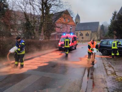 Foto des Albums: 2018-03-16-Einsatz_1-Fotos