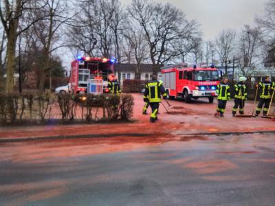 Foto des Albums: 2018-03-16-Einsatz_1-Fotos