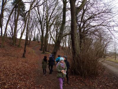 Foto des Albums: Osterprojekt der Klasse 3a