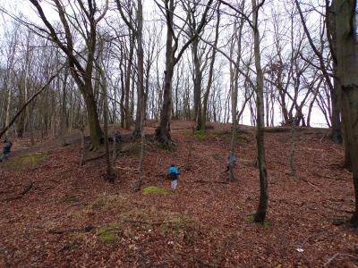 Foto des Albums: Osterprojekt der Klasse 3a