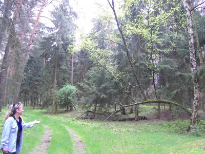 Bild: skurile Naturerlebnisse