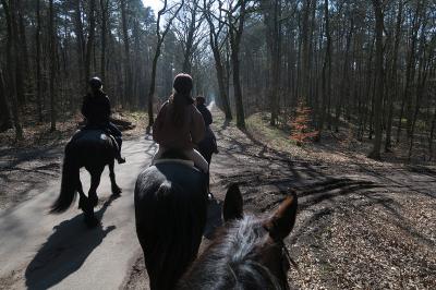 Foto des Albums: Osterritt (30.03.2018)