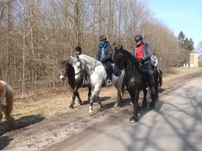 Foto des Albums: Osterritt (30.03.2018)