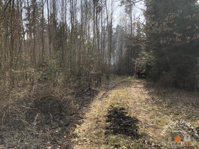 Foto des Albums: Einsatz 690 B-Wald- Gransee