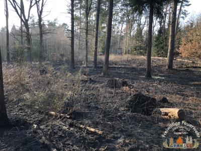 Foto des Albums: Einsatz 690 B-Wald- Gransee