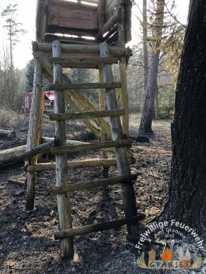 Foto des Albums: Einsatz 690 B-Wald- Gransee