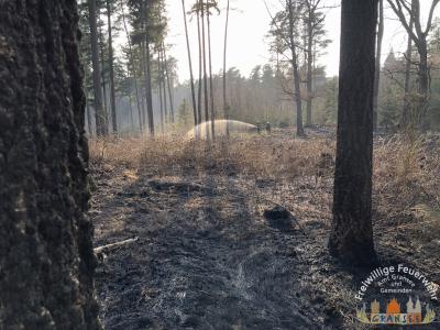 Foto des Albums: Einsatz 690 B-Wald- Gransee