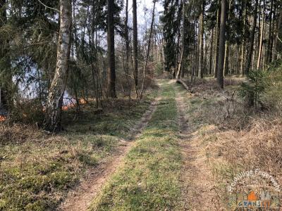 Foto des Albums: Einsatz 690 B-Wald- Gransee