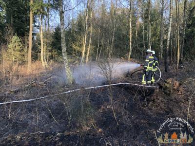 Foto des Albums: Einsatz 690 B-Wald- Gransee