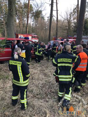 Foto des Albums: Einsatz 690 B-Wald- Gransee