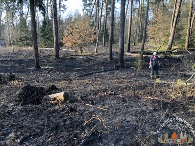 Foto des Albums: Einsatz 690 B-Wald- Gransee