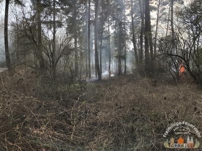 Foto des Albums: Einsatz 690 B-Wald- Gransee