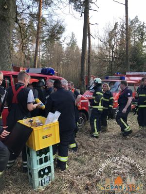 Foto des Albums: Einsatz 690 B-Wald- Gransee