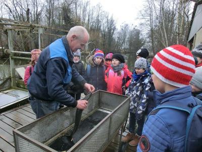 Herr Brau&szlig;e fischt sogar Aale aus der Nieplitz ... 