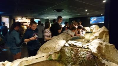 Foto des Albums: Frankreichaustausch