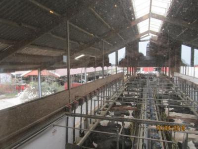 Foto des Albums: Besichtigung der Bunkemühler Hofkäserei in Warpe