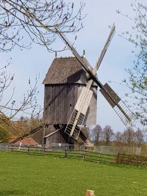 Foto des Albums: Ausflug nach Detmold