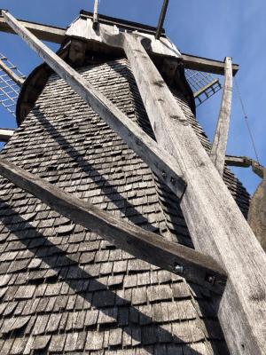 Foto des Albums: Ausflug nach Detmold