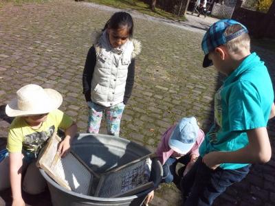 Foto des Albums: Ausflug nach Detmold