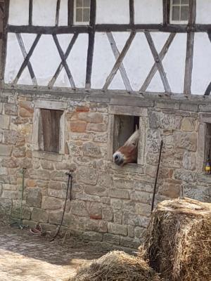 Foto des Albums: Ausflug nach Detmold