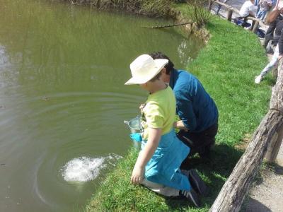 Foto des Albums: Ausflug nach Detmold