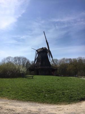Foto des Albums: Ausflug nach Detmold