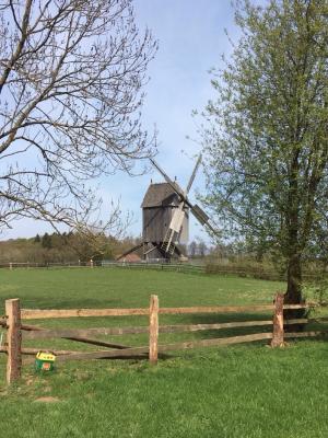 Foto des Albums: Ausflug nach Detmold
