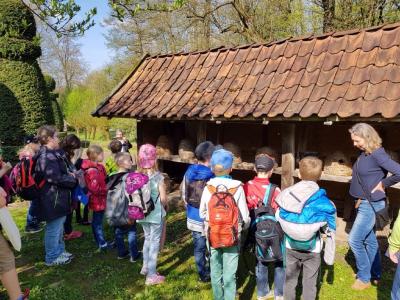Foto des Albums: Ausflug nach Detmold