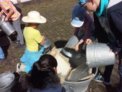 Foto des Albums: Ausflug nach Detmold