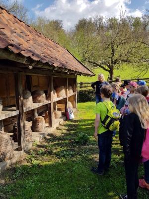 Foto des Albums: Ausflug nach Detmold