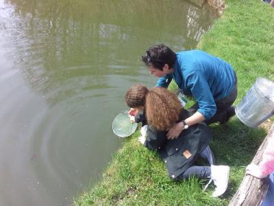 Foto des Albums: Ausflug nach Detmold