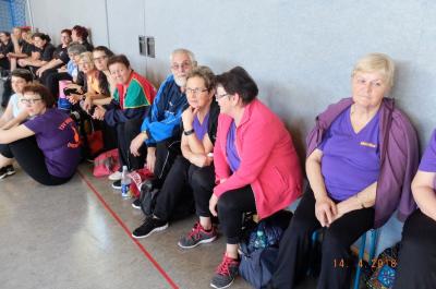 Foto des Albums: 20. Gymnastiktreff 2018