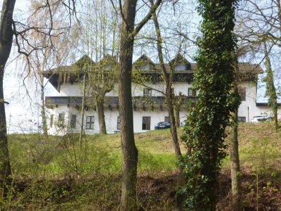 Bild: Ankunst Weisse Taube