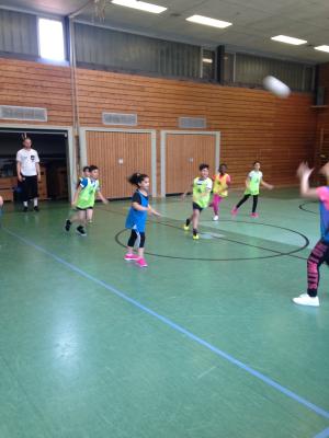 Foto des Albums: Handballtraining mit den "Recken" (09.04.2018)