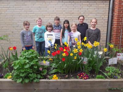Foto des Albums: Unsere Garten-AG bringt die Innenhöfe zum Blühen
